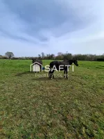 Terrain à vendre à GRAIGNES-MESNIL-ANGOT de 9250m² (4)
